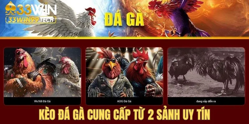 Đá Gà 33Win 2 Đá gà 33Win đáp ứng nhu cầu hội viên qua 2 sảnh hàng đầu