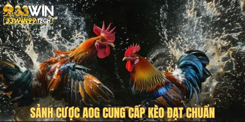 Đá Gà 33Win 3 Sảnh cược AOG đáp ứng nhu cầu cá cược mọi thành viên